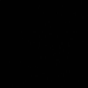 Meet your Posher, Jorge